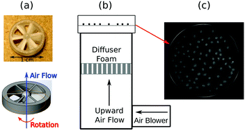 Graphical abstract: Dynamics and thermodynamics of air-driven active spinners