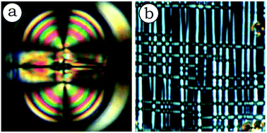 Graphical abstract: Instabilities in the electric Freedericksz state of the twist-bend nematic liquid crystal CB7CB