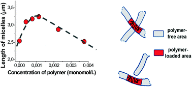 Graphical abstract: Growth of wormlike micelles of surfactant induced by embedded polymer: role of polymer chain length