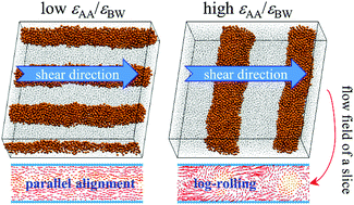Graphical abstract: Shear-induced parallel and transverse alignments of cylinders in thin films of diblock copolymers