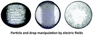 Graphical abstract: Particle-covered drops in electric fields: drop deformation and surface particle organization