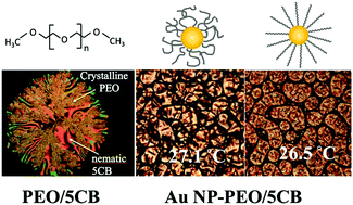 Graphical abstract: Polymer functionalized nanoparticles in liquid crystals: combining PDLCs with LC nanocomposites