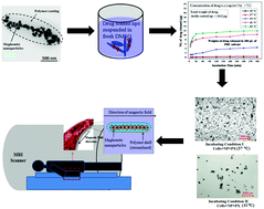 Graphical abstract: Entropically driven controlled release of paclitaxel from poly(2-ethyl-2-oxazoline) coated maghemite nanostructures for magnetically guided cancer therapy