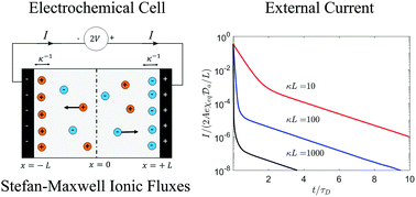 Graphical abstract: Role of Stefan–Maxwell fluxes in the dynamics of concentrated electrolytes
