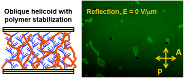 Graphical abstract: Polymer stabilization of cholesteric liquid crystals in the oblique helicoidal state