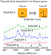 Graphical abstract: Laser trapping/confocal Raman spectroscopic characterization of PLGA-PEG nanoparticles