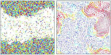Graphical abstract: Clustering and phase separation of circle swimmers dispersed in a monolayer