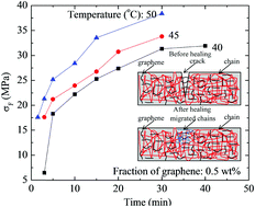 Graphical abstract: Effect of graphene on the absorption of methanol and crack healing in poly(methyl methacrylate)-based composites
