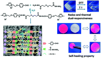 Graphical abstract: Smart low molecular weight hydrogels with dynamic covalent skeletons