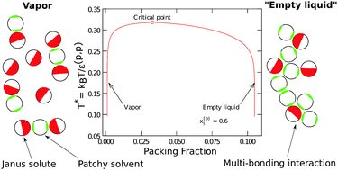 Graphical abstract: A cluster size distribution theory to study the thermodynamics and phase behavior of multi-bonding single site solutes in patchy colloidal mixtures