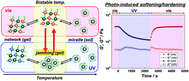 Graphical abstract: Photo/thermoresponsive ABC triblock copolymer-based ion gels: photoinduced structural transitions