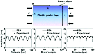 Graphical abstract: Surface wrinkling of an elastic graded layer