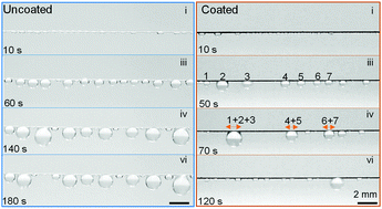 Graphical abstract: Highly efficient fog harvesting on superhydrophobic microfibers through droplet oscillation and sweeping