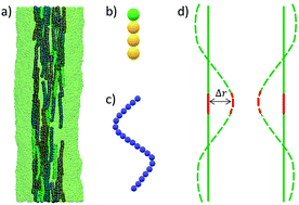 Graphical abstract: Membrane nanotube pearling restricted by confined polymers