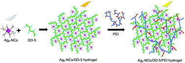 Graphical abstract: Realizing enhanced luminescence of silver nanocluster–peptide soft hydrogels by PEI reinforcement