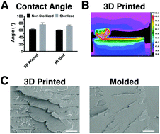 Graphical abstract: The influence of roughness on stem cell differentiation using 3D printed polylactic acid scaffolds