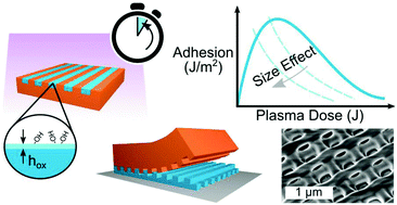 Graphical abstract: Size effects in plasma-enhanced nano-transfer adhesion
