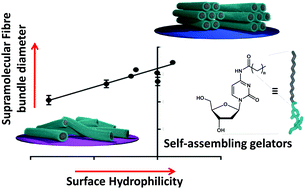 Graphical abstract: Hydrophobicity of surface-immobilised molecules influences architectures formed via interfacial self-assembly of nucleoside-based gelators