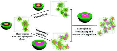 Graphical abstract: Enhanced stability of crosslinked and charged unimolecular micelles from multigeometry triblock copolymers with short hydrophilic segments: dissipative particle dynamics simulation