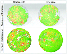 Graphical abstract: Emergent topological phenomena in active polymeric fluids