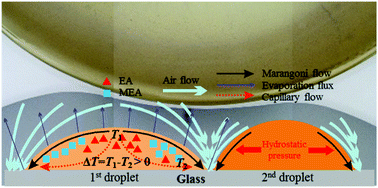 Graphical abstract: Capillary force induced air film for self-aligned short channel: pushing the limits of inkjet printing