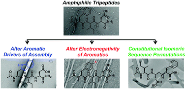 Graphical abstract: Aromatic identity, electronic substitution, and sequence in amphiphilic tripeptide self-assembly