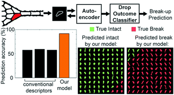 Graphical abstract: Using machine learning to discover shape descriptors for predicting emulsion stability in a microfluidic channel