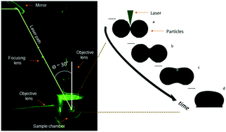 Graphical abstract: Laser sintering of polymer particle pairs studied by in situ visualization