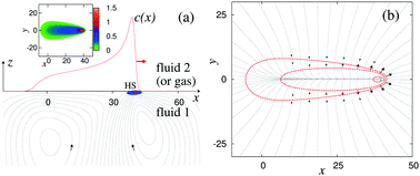 Graphical abstract: Dynamics of a fully wetted Marangoni surfer at the fluid–fluid interface
