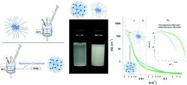 Graphical abstract: A comparison of the network structure and inner dynamics of homogeneously and heterogeneously crosslinked PNIPAM microgels with high crosslinker content