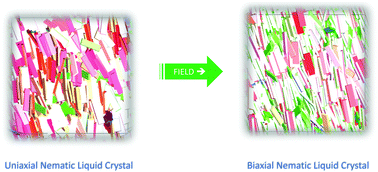 Graphical abstract: Biaxial nematics of hard cuboids in an external field