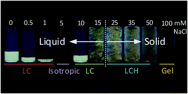 Graphical abstract: Liquid crystal hydroglass formed via phase separation of nanocellulose colloidal rods