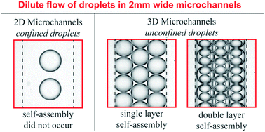 Graphical abstract: Self-assembly of droplets in three-dimensional microchannels
