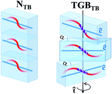 Graphical abstract: Indication of a twist-grain-boundary-twist-bend phase of flexible core bent-shape chiral dimers