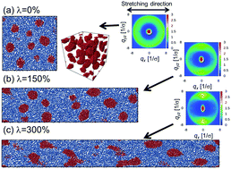 Graphical abstract: Scattering patterns and stress–strain relations on phase-separated ABA block copolymers under uniaxial elongating simulations