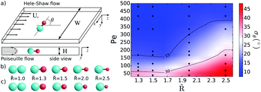 Graphical abstract: Small asymmetric Brownian objects self-align in nanofluidic channels