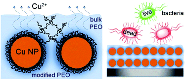 Graphical abstract: Cu nanoparticles constrain segmental dynamics of cross-linked polyethers: a trade-off between non-fouling and antibacterial properties