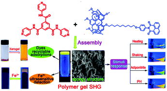 Graphical abstract: Pillar[5]arene-based spongy supramolecular polymer gel and its properties in multi-responsiveness, dye sorption, ultrasensitive detection and separation of Fe3+