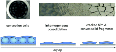 Graphical abstract: Influence of Bénard–Marangoni instability on the morphology of drying colloidal films
