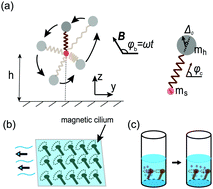 Graphical abstract: Magnetically-actuated artificial cilium: a simple theoretical model