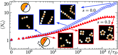 Graphical abstract: Self-assembly of magnetic colloids with shifted dipoles