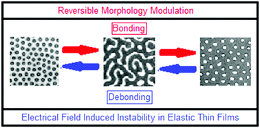 Graphical abstract: Reversible morphological switching and deformation hysteresis in electric field mediated instability of thin elastic films