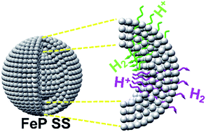 Graphical abstract: Porous superstructures constructed from ultrafine FeP nanoparticles for highly active and exceptionally stable hydrogen evolution reaction