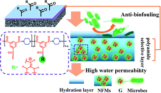 Graphical abstract: Guanidinium-functionalized nanofiltration membranes integrating anti-fouling and antimicrobial effects