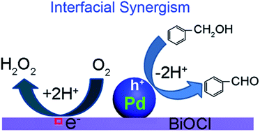 Graphical abstract: Interfacial synergism of Pd-decorated BiOCl ultrathin nanosheets for the selective oxidation of aromatic alcohols