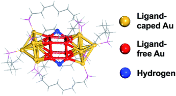 Graphical abstract: Stronger-than-Pt hydrogen adsorption in a Au22 nanocluster for the hydrogen evolution reaction