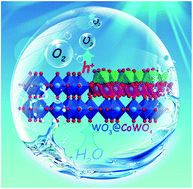 Graphical abstract: Heterostructured WO3@CoWO4 bilayer nanosheets for enhanced visible-light photo, electro and photoelectro-chemical oxidation of water