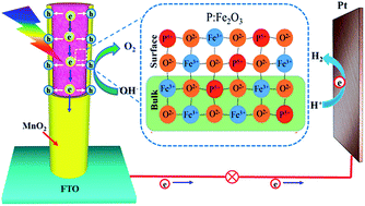 Graphical abstract: Synergistic effects of P-doping and a MnO2 cocatalyst on Fe2O3 nanorod photoanodes for efficient solar water splitting