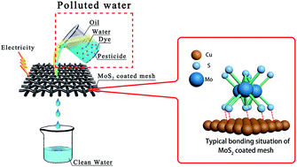 Graphical abstract: A MoS2 nanosheet-coated mesh for pH-induced multi-pollutant water remediation with in situ electrocatalysis