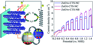 Graphical abstract: A top-down synthesis of wurtzite Cu2SnS3 nanocrystals for efficient photoelectrochemical performance